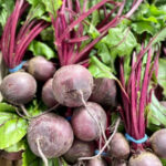 Beet-Root - Image 2