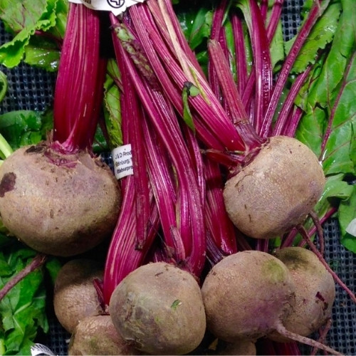 full-1761635483.jpg Beet-Root - Image 1