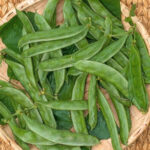 Sword Beans - Image 2