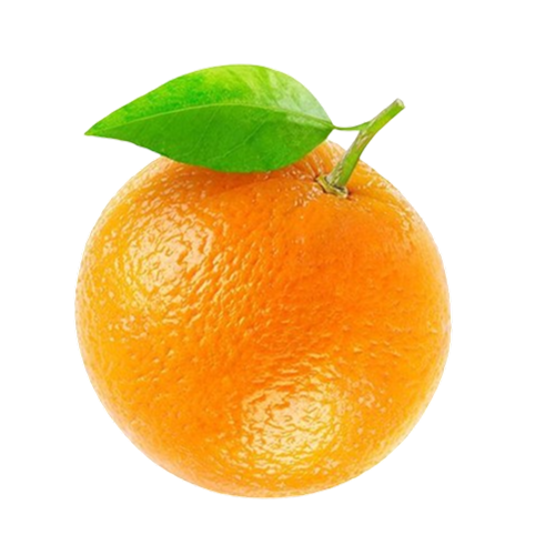 full-1762858074.png orange - Image 1