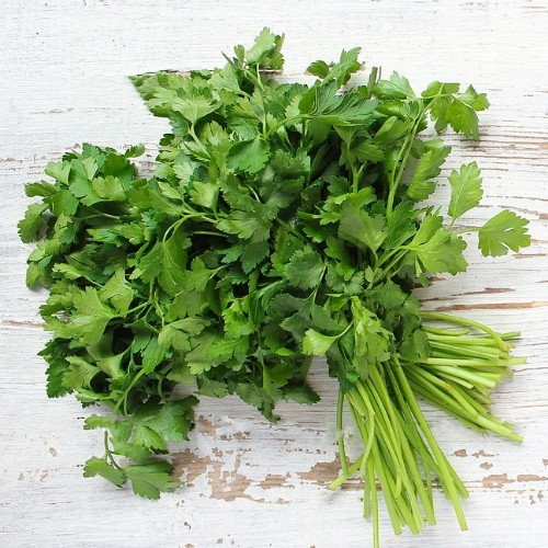 full-1763011221.jpg Coriander(Dhaniya) - Image 1