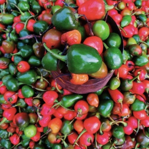 full-1763011294.jpg Aakabare chilli - Image 1