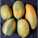 papaya