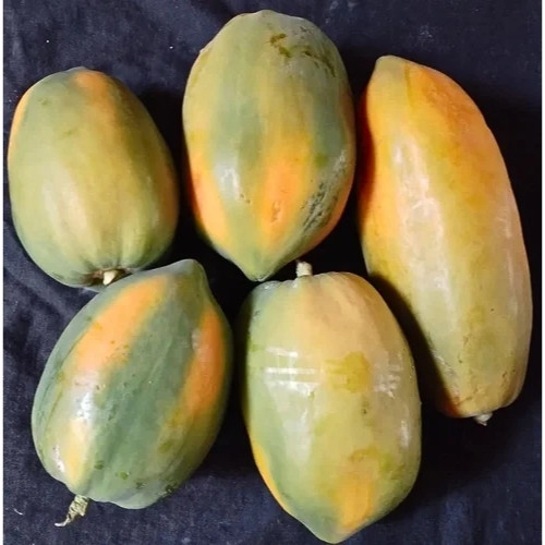 full-1763105134.jpg papaya - Image 1