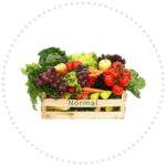 Exotical (बिदेशी)