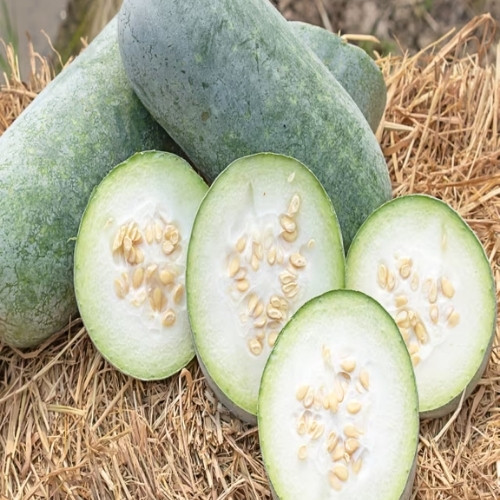 Panchkhal Tarkari Pasal