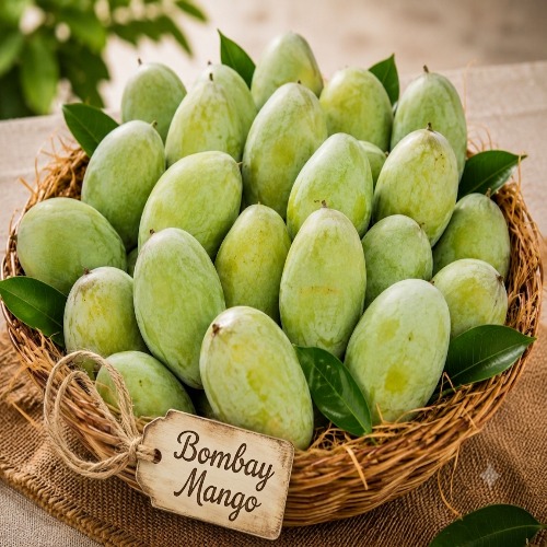full-1781079663.jpg mango - Image 1