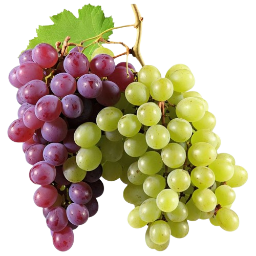 full-1781237991.png Fresh Fruits basket - Image 1